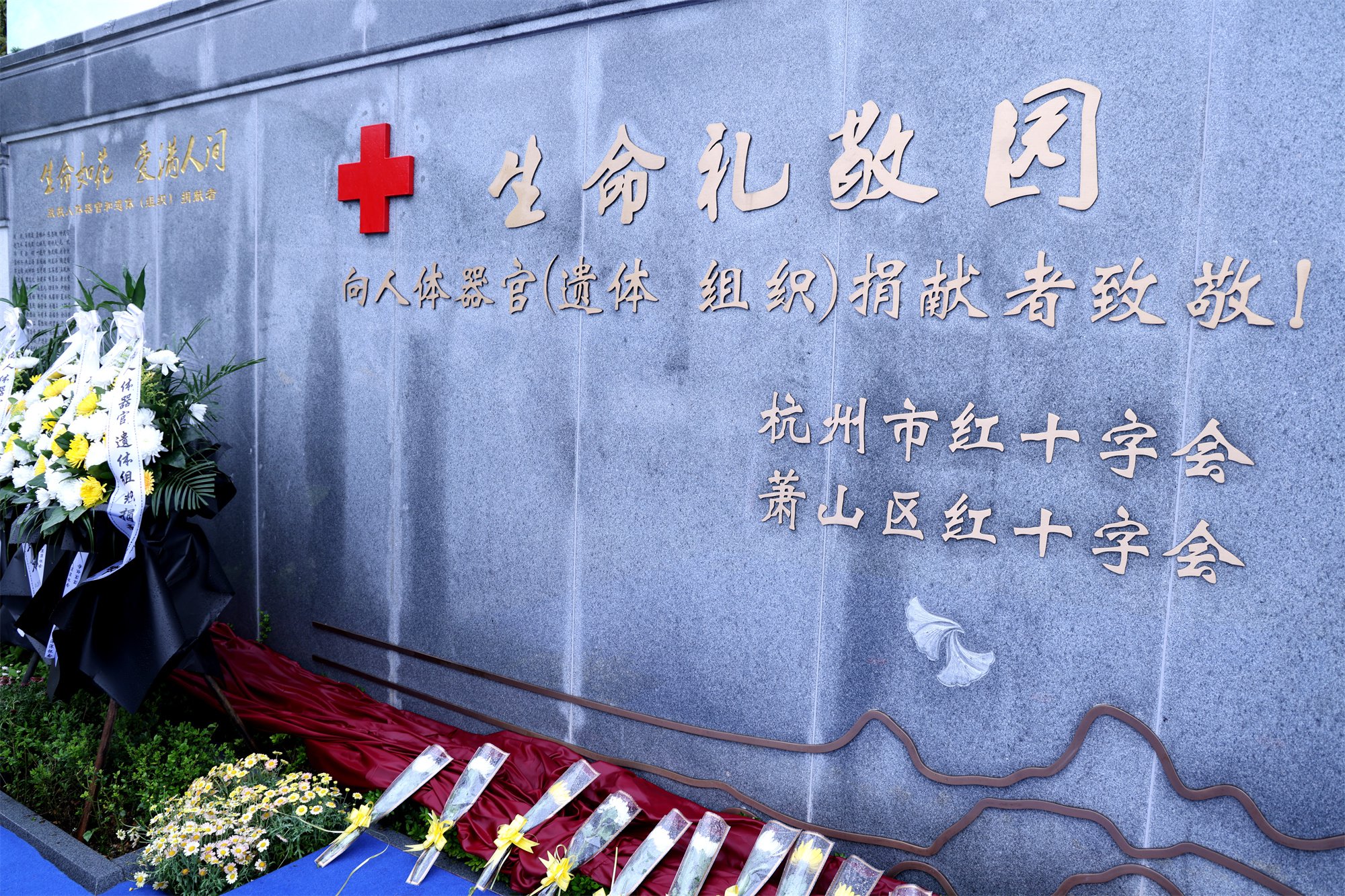 首页-人生就是博