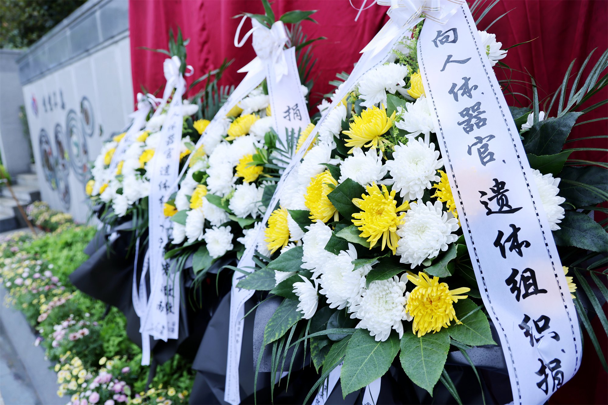 首页-人生就是博