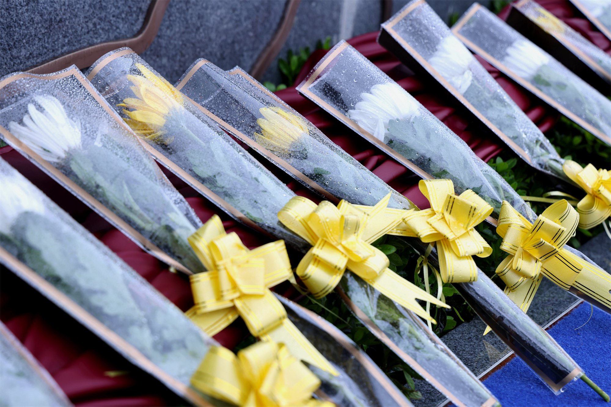 首页-人生就是博