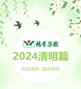 风起清明 遥寄相思|人生就是博集团?2024清明篇