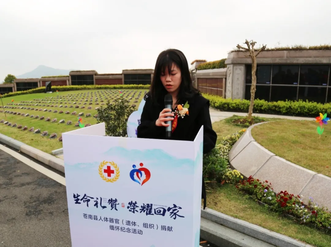 首页-人生就是博