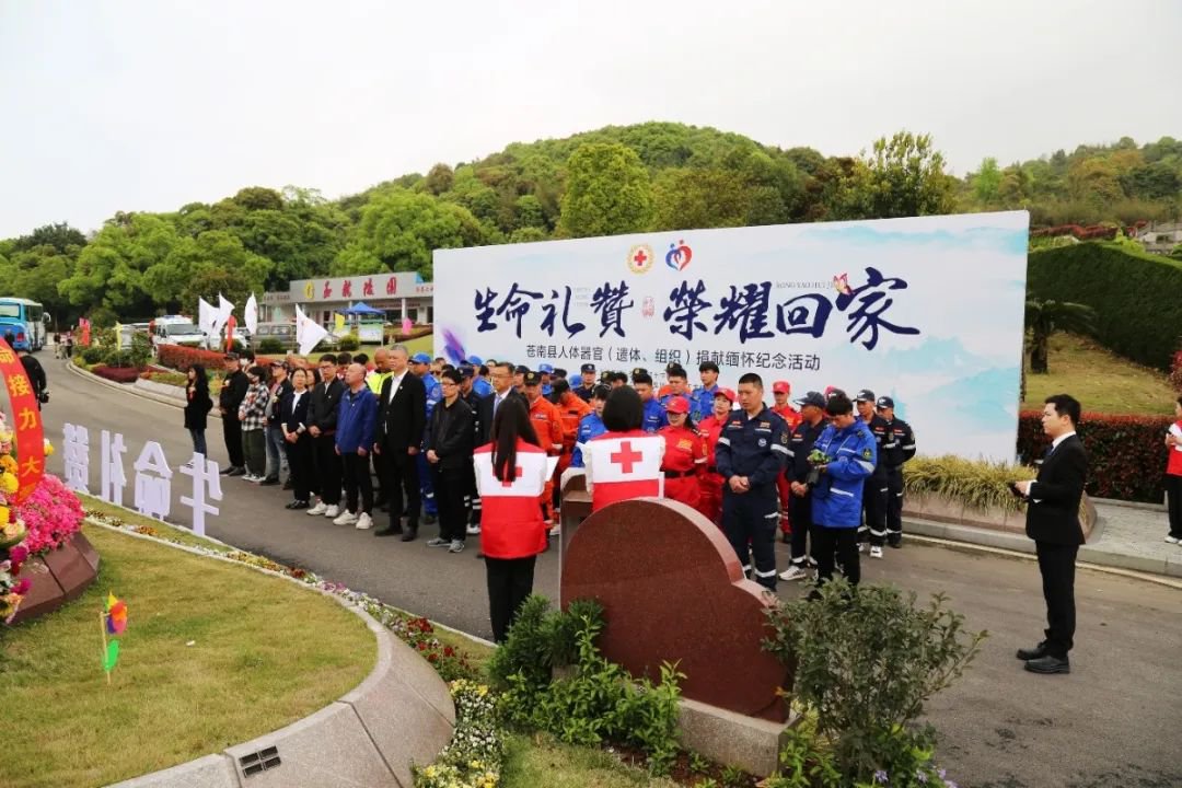 首页-人生就是博