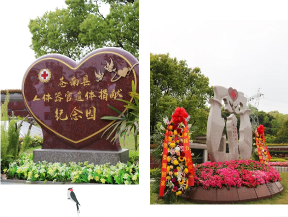 首页-人生就是博