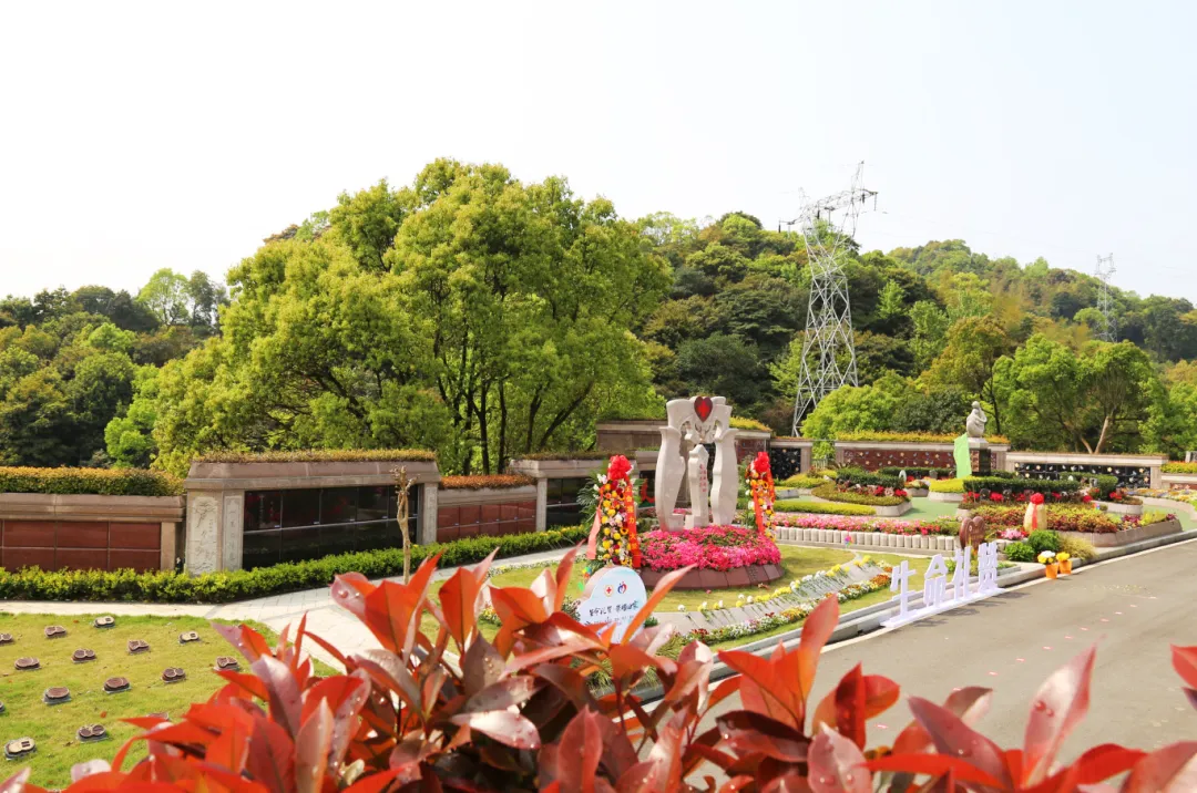 首页-人生就是博