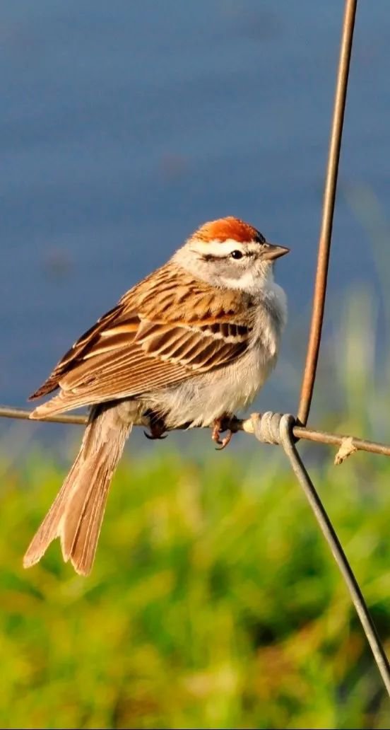 首页-人生就是博