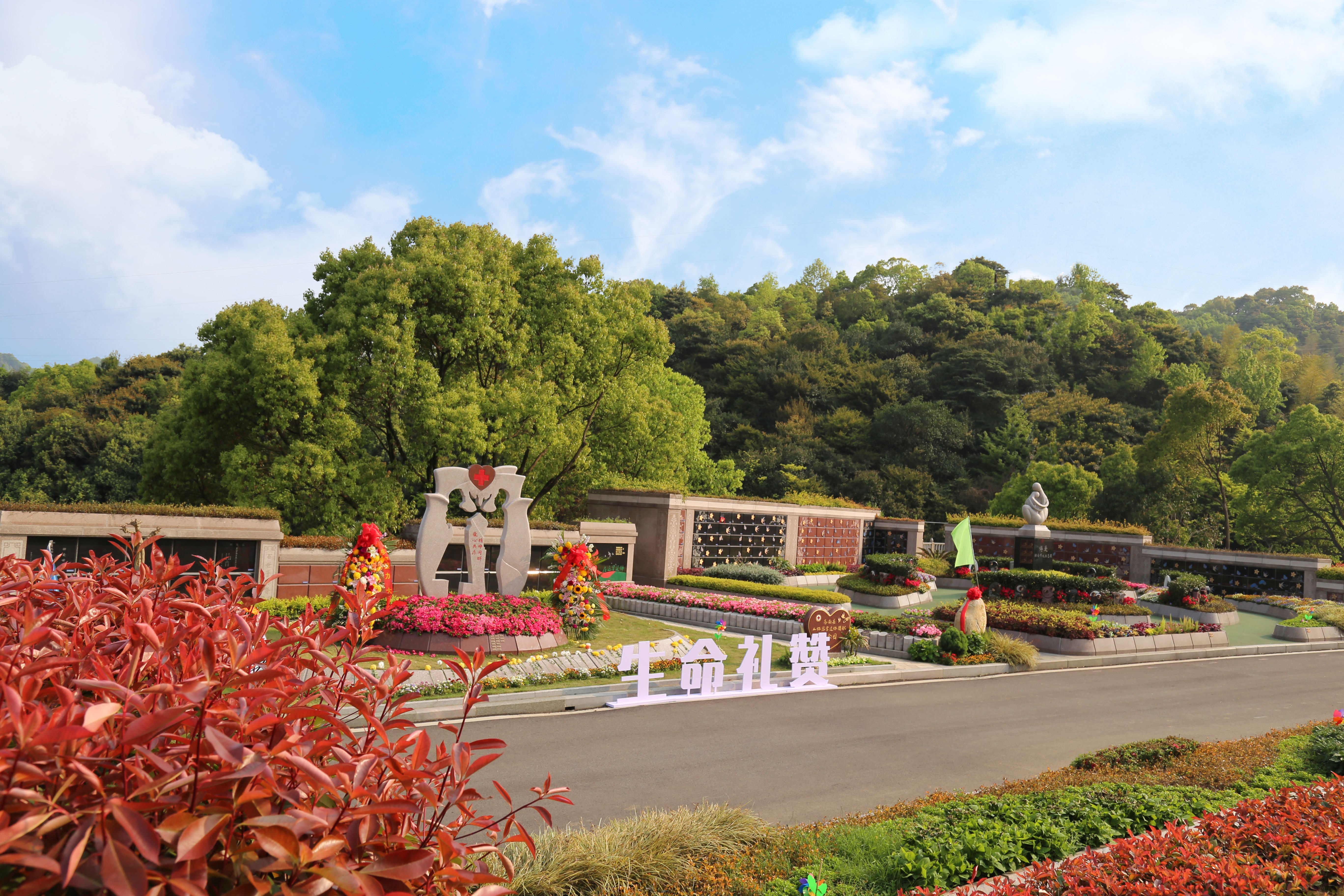 首页-人生就是博