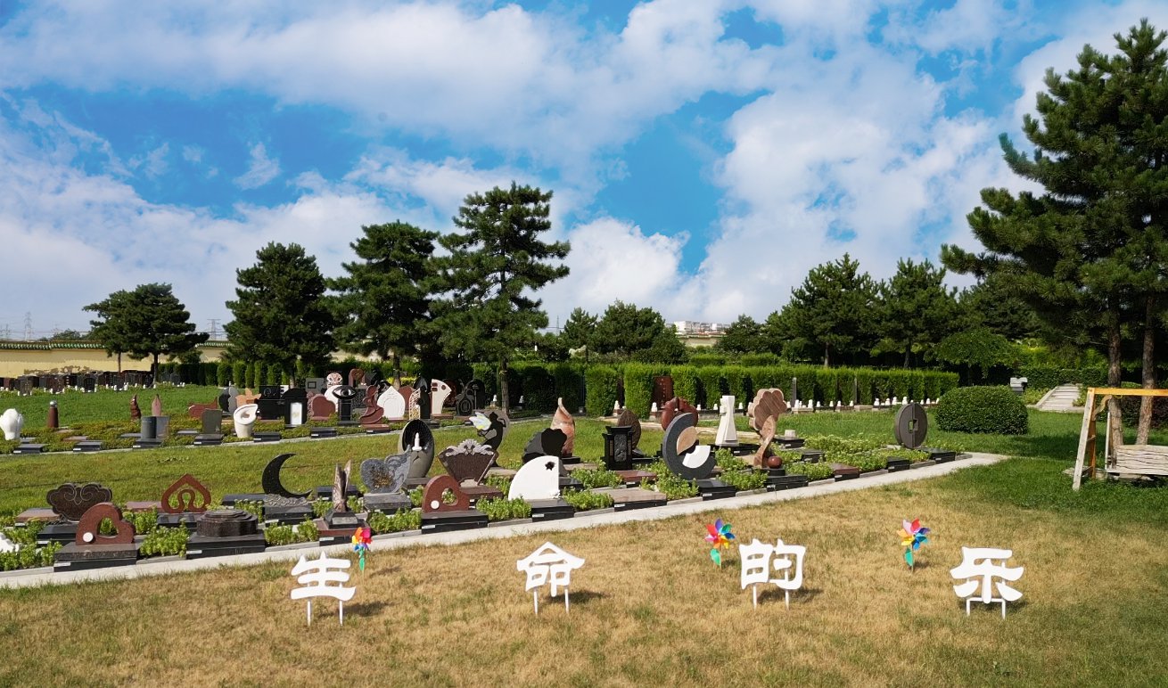 首页-人生就是博