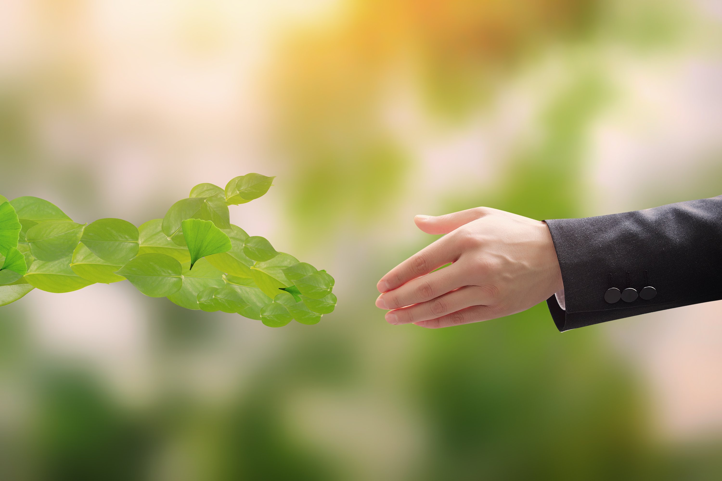 首页-人生就是博