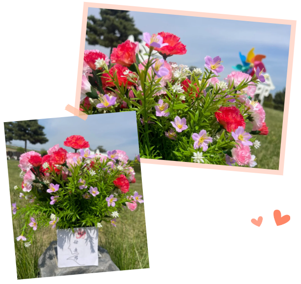 首页-人生就是博