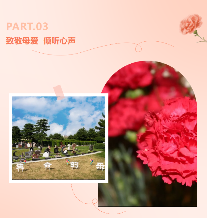 首页-人生就是博