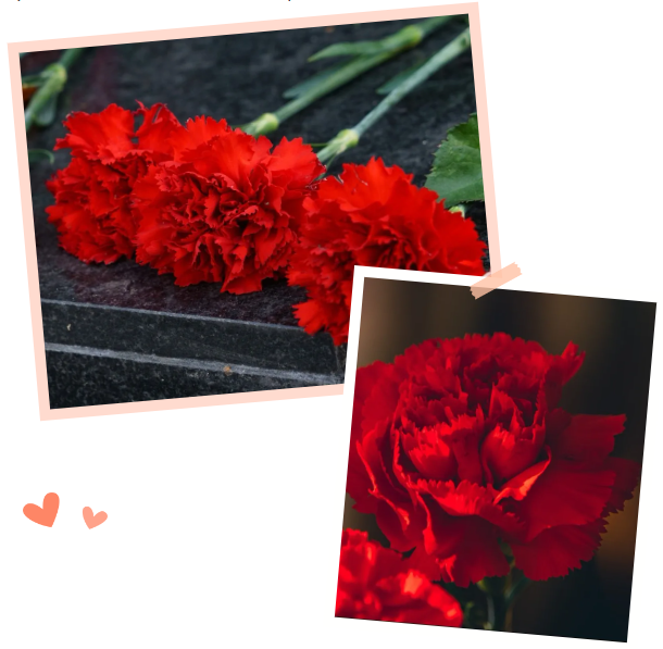 首页-人生就是博