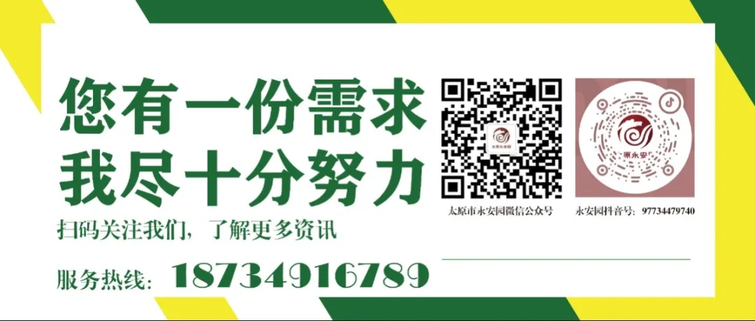 首页-人生就是博