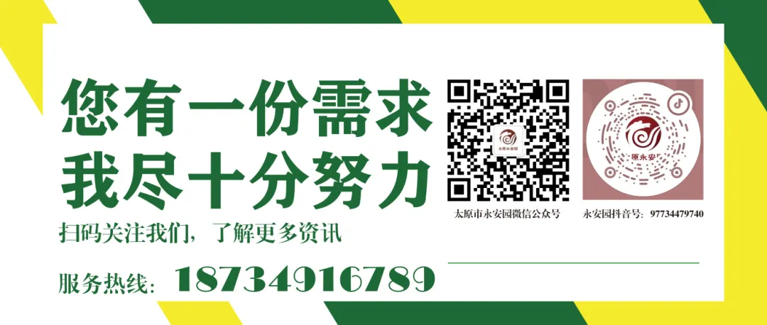 首页-人生就是博