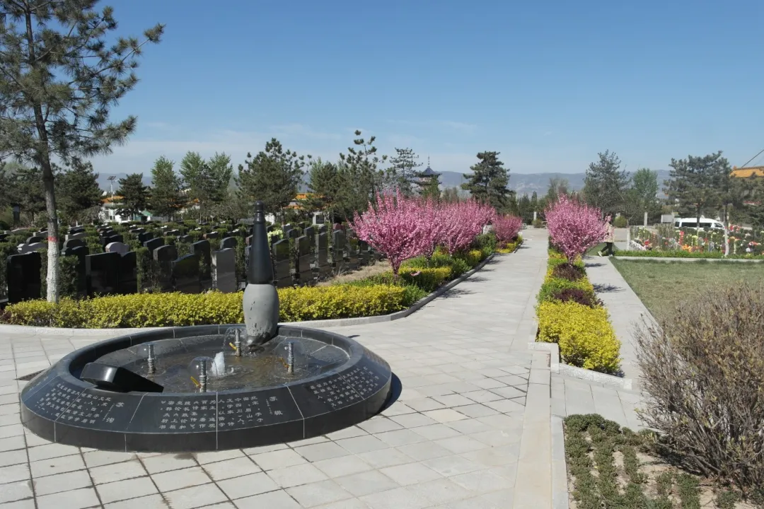 首页-人生就是博