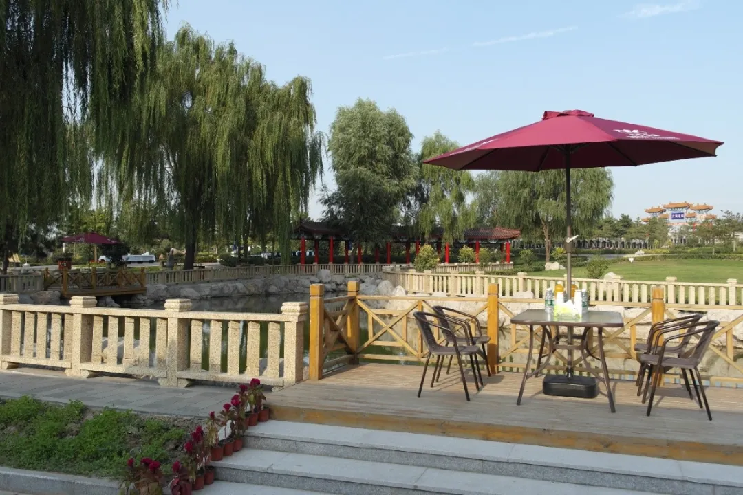 首页-人生就是博