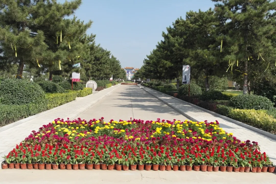 首页-人生就是博