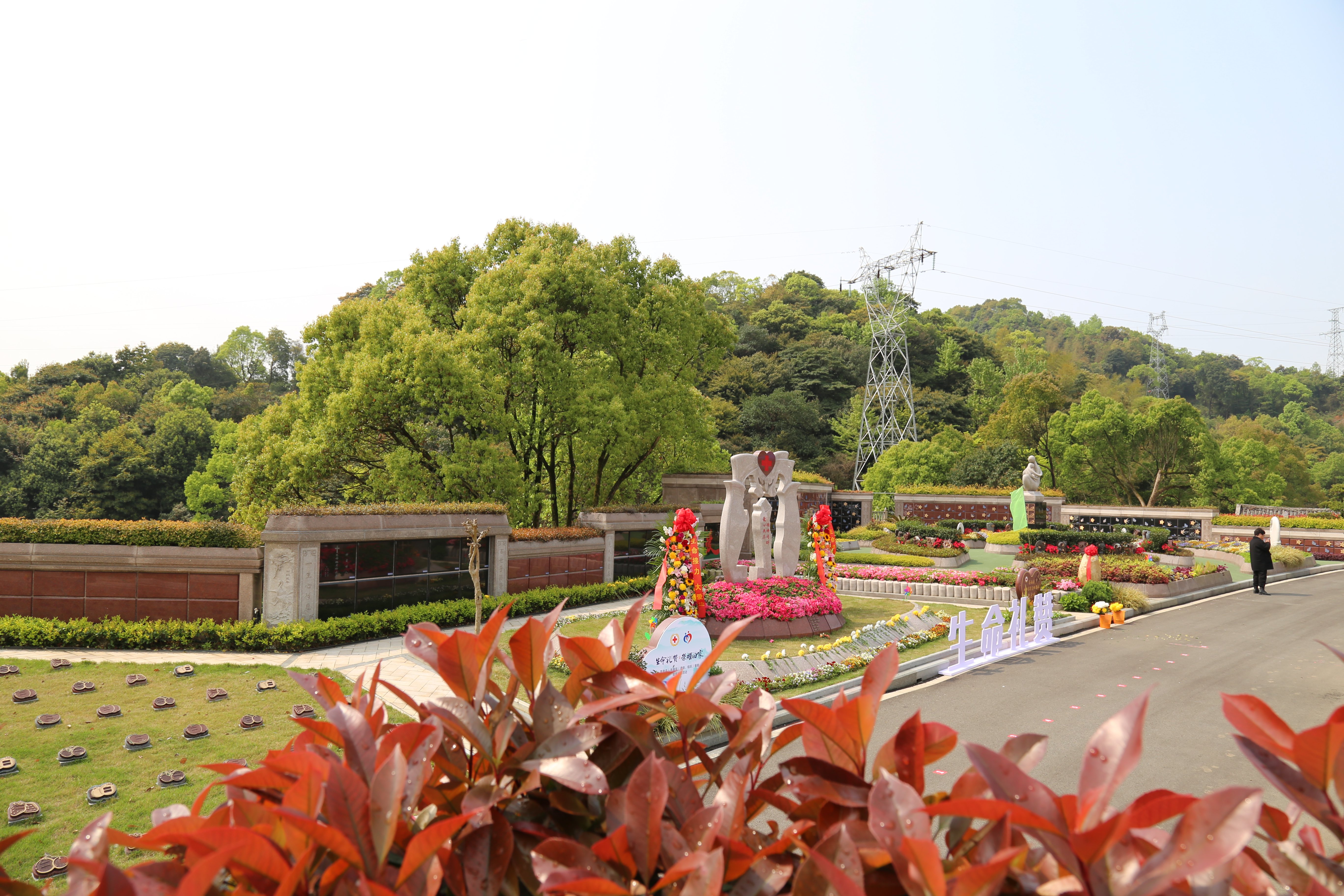 首页-人生就是博