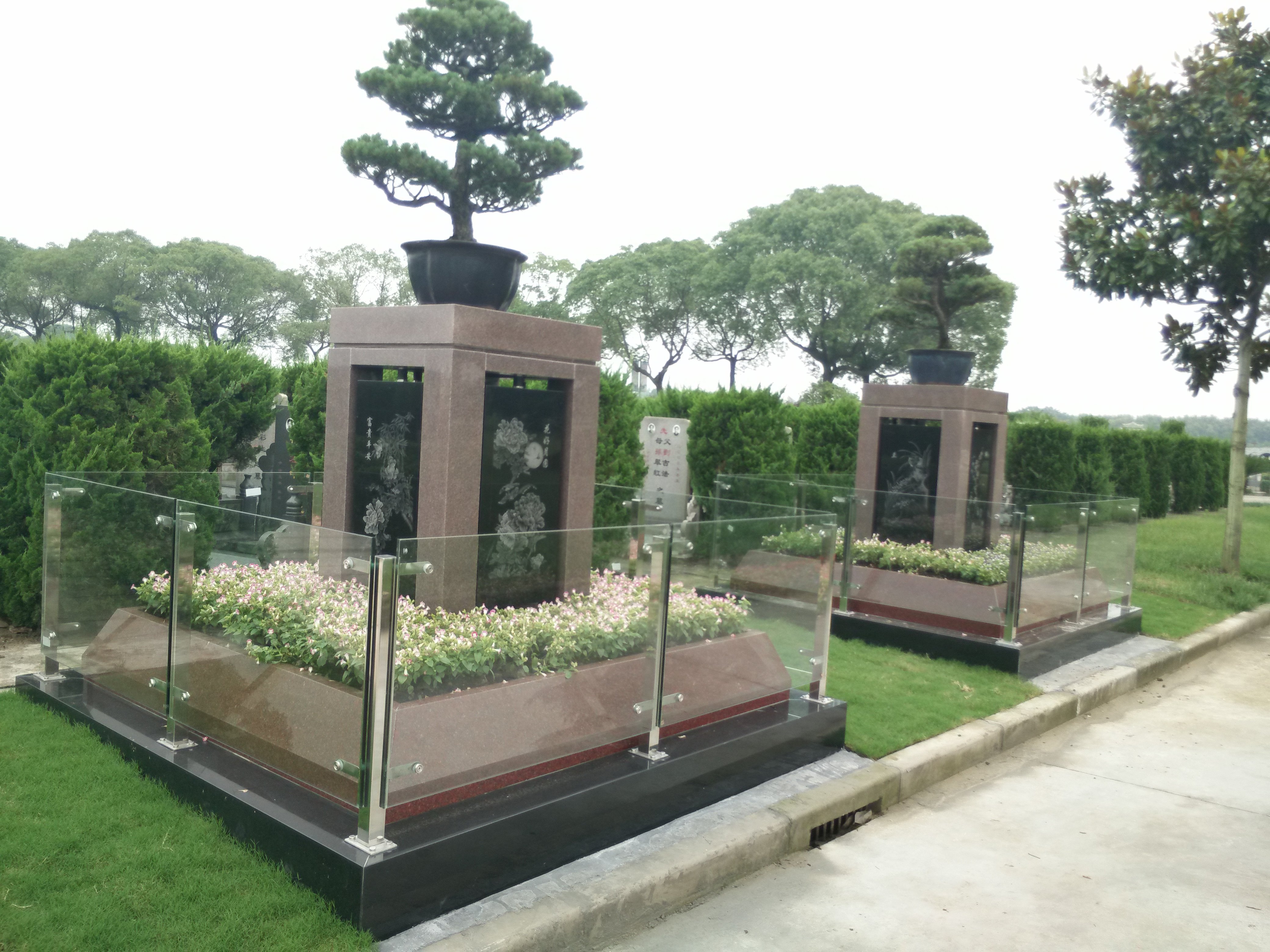 首页-人生就是博