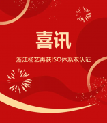 喜讯 | 浙江人生就是博再获ISO系统双认证