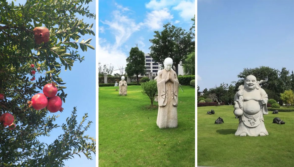 首页-人生就是博