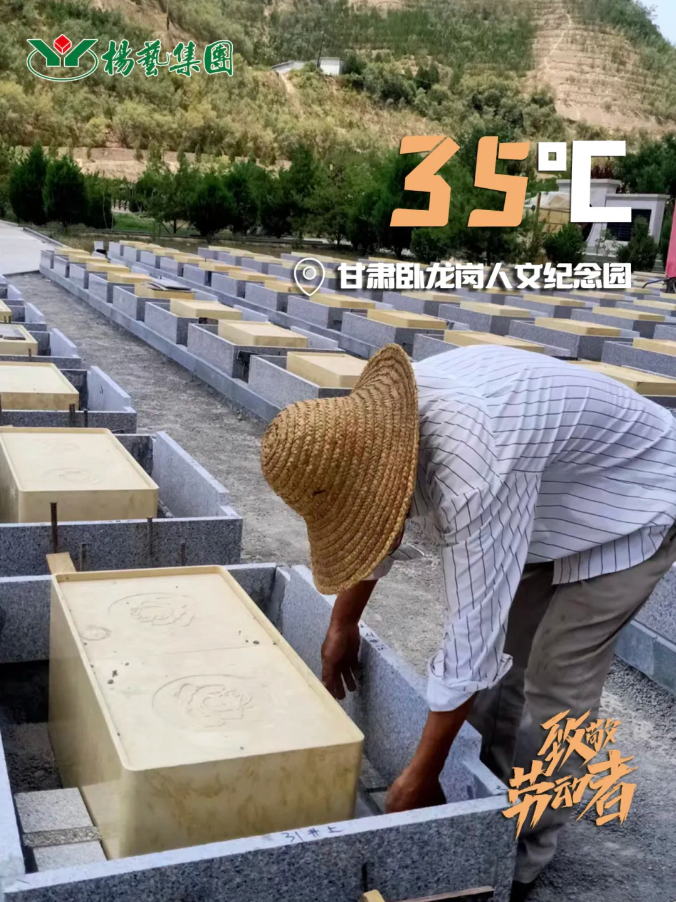 首页-人生就是博