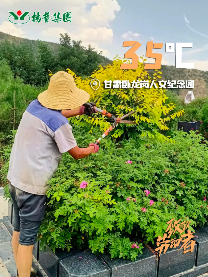 首页-人生就是博