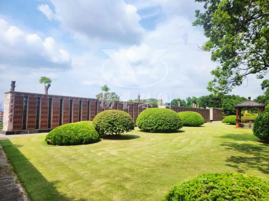 首页-人生就是博