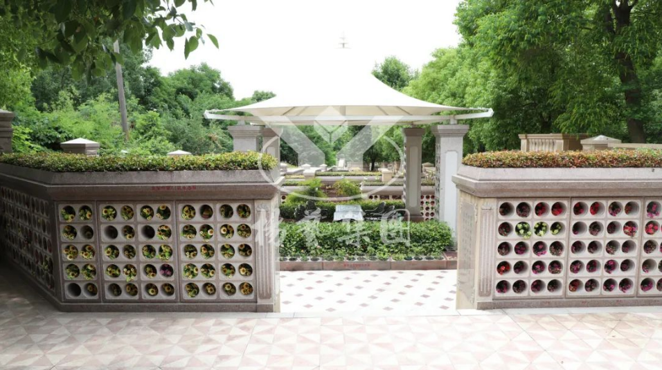 首页-人生就是博