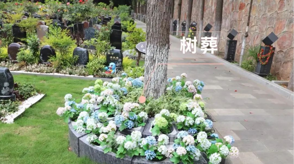 首页-人生就是博