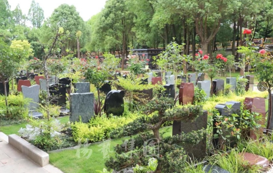 首页-人生就是博