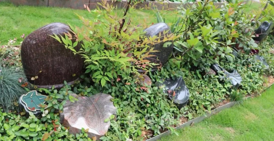 首页-人生就是博