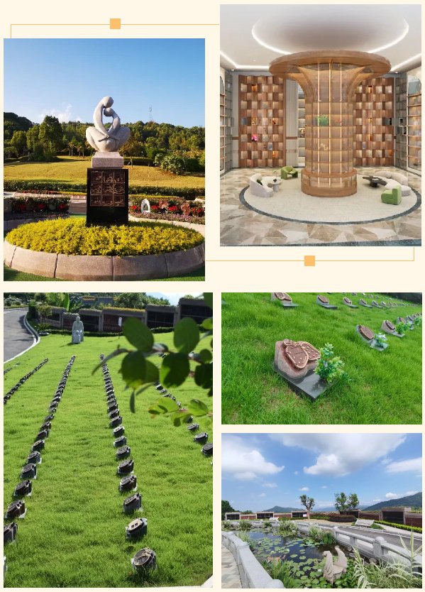 首页-人生就是博