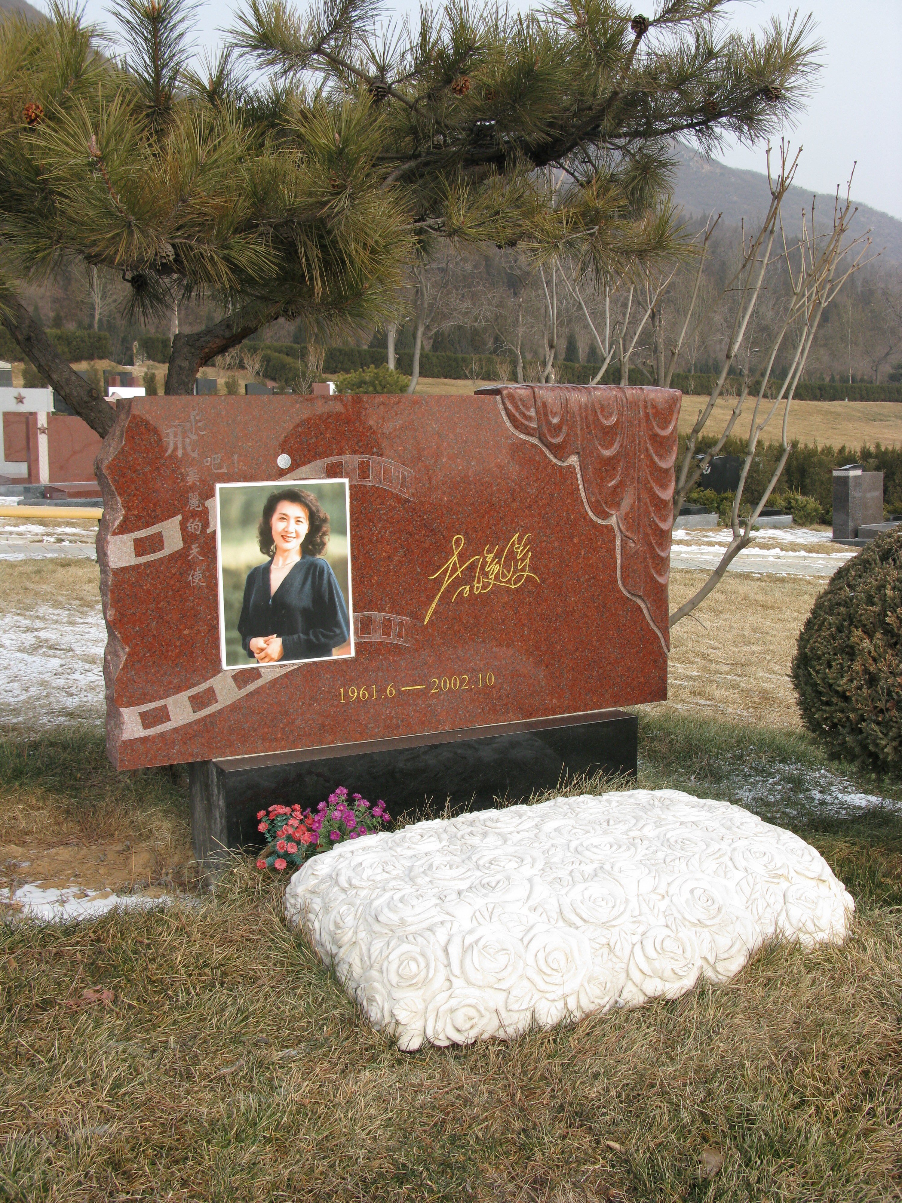 首页-人生就是博