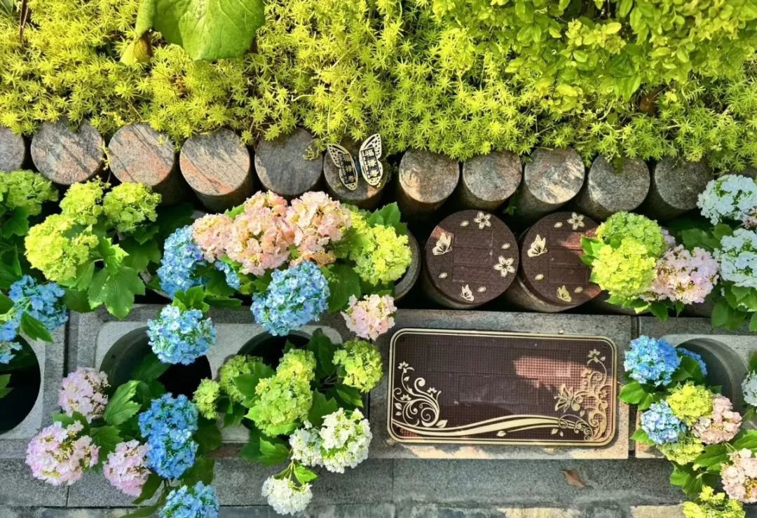 首页-人生就是博