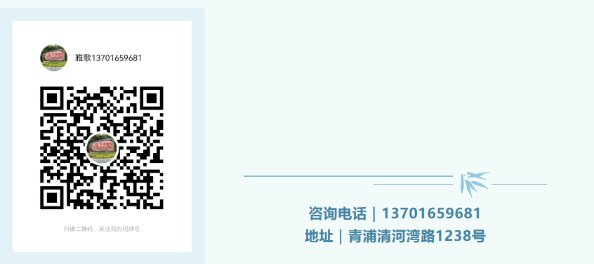 首页-人生就是博