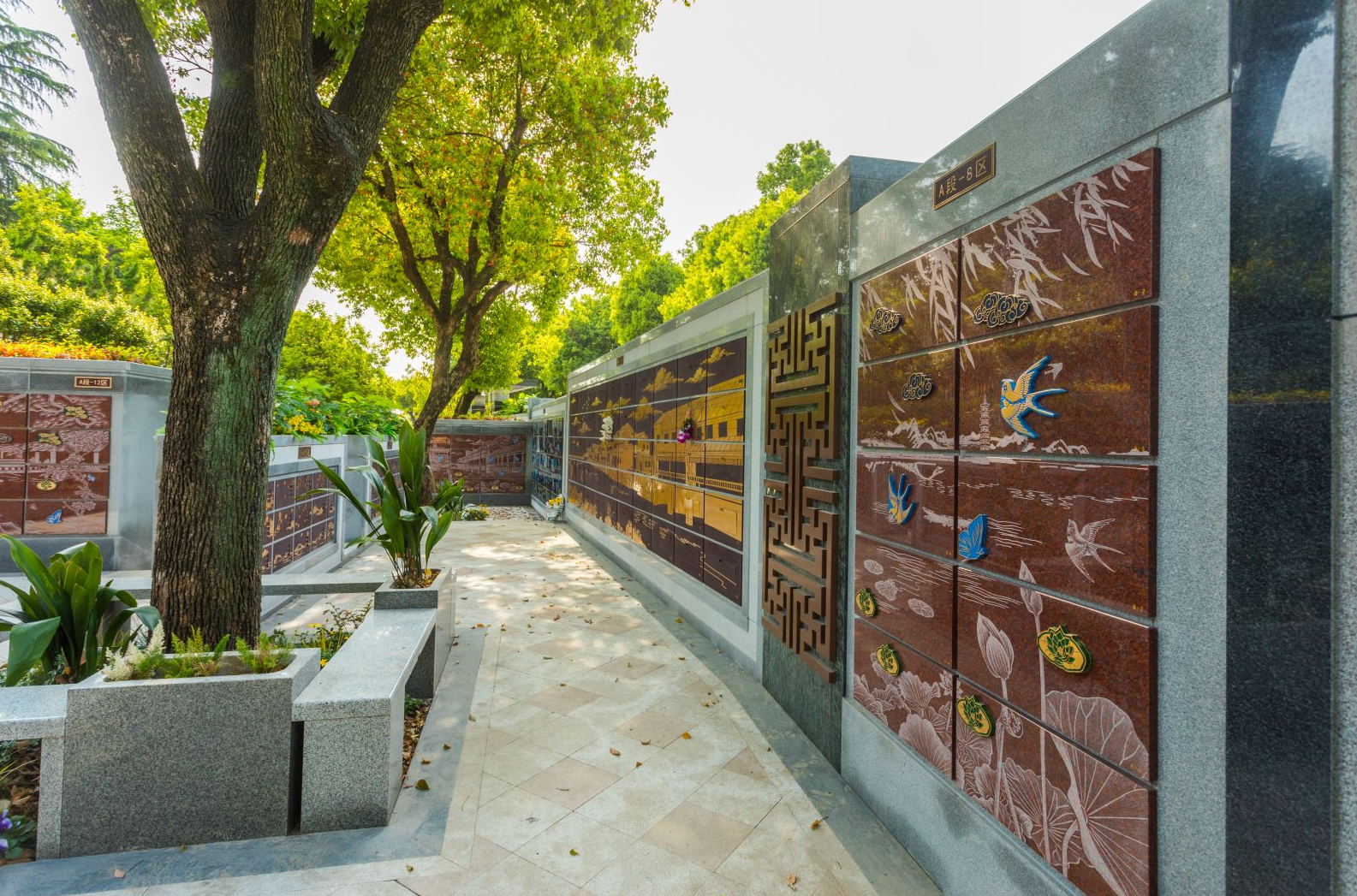 首页-人生就是博