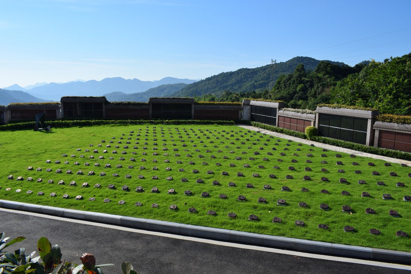 首页-人生就是博