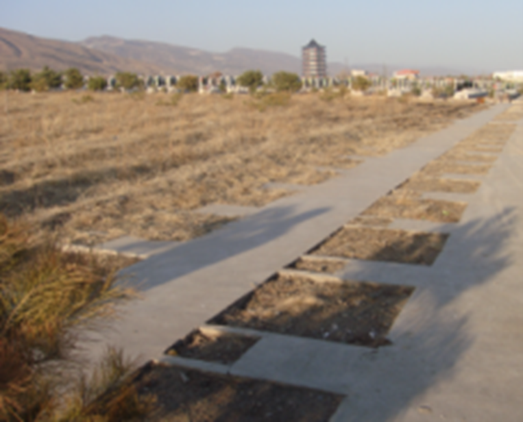 首页-人生就是博