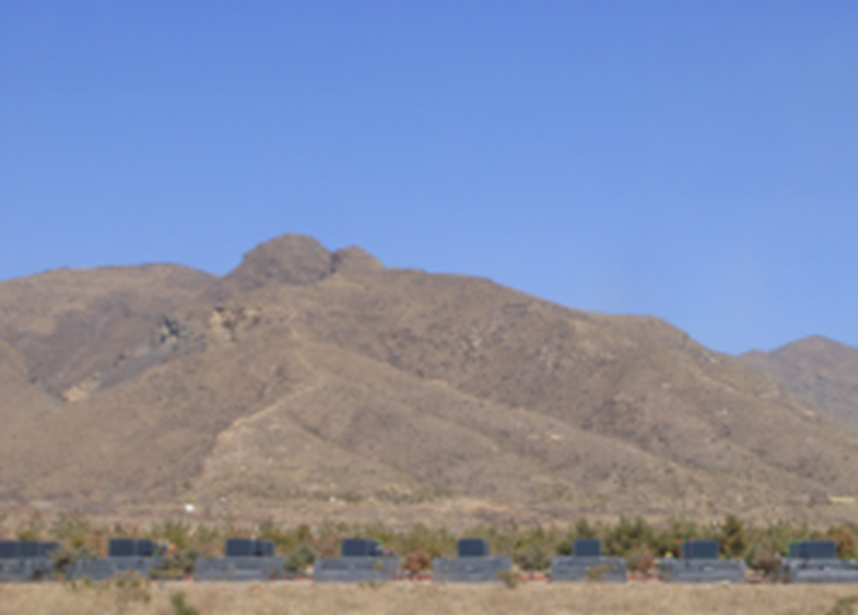 首页-人生就是博