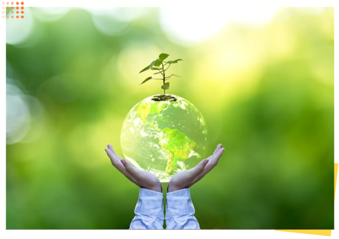 首页-人生就是博