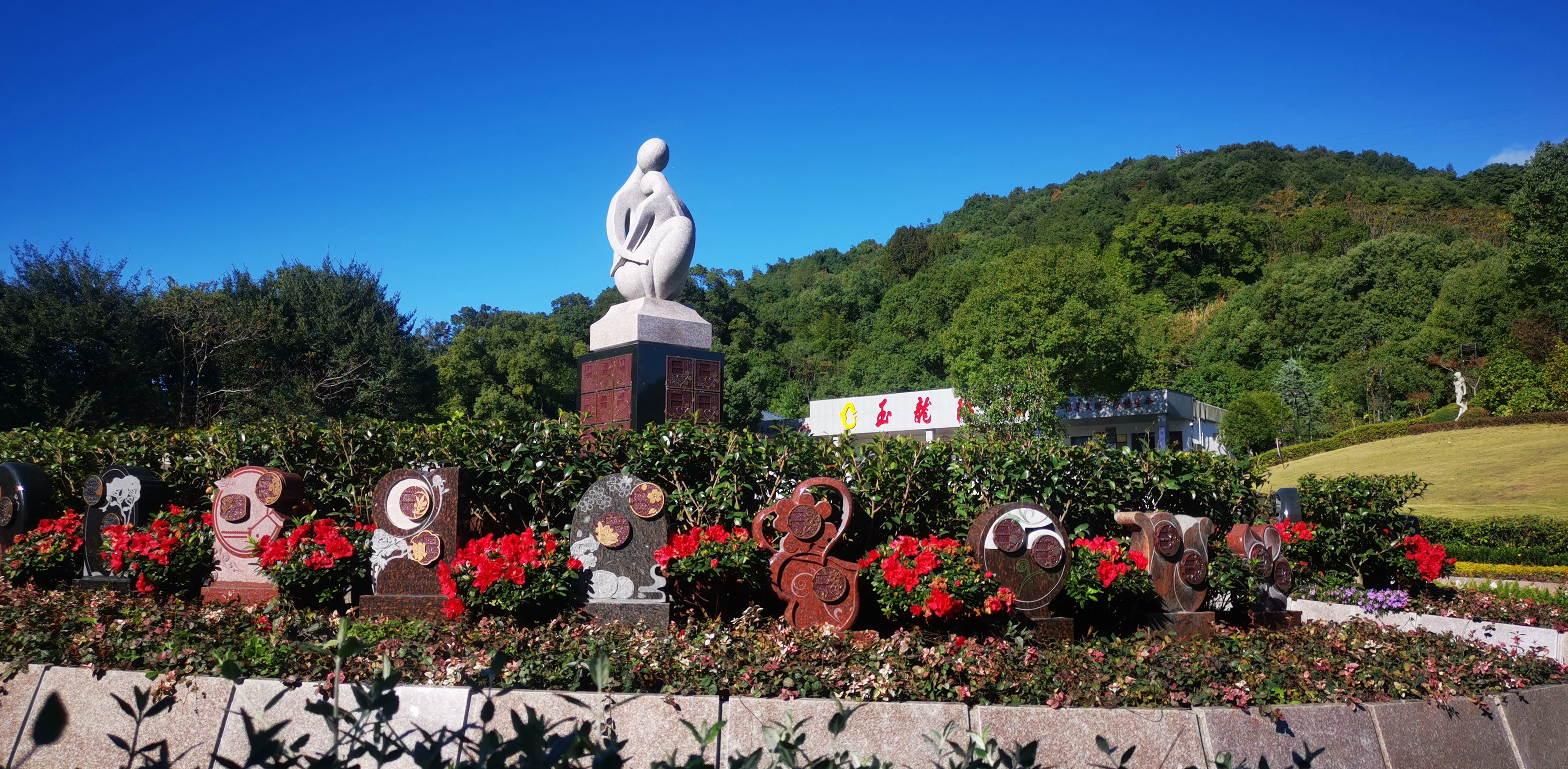 首页-人生就是博