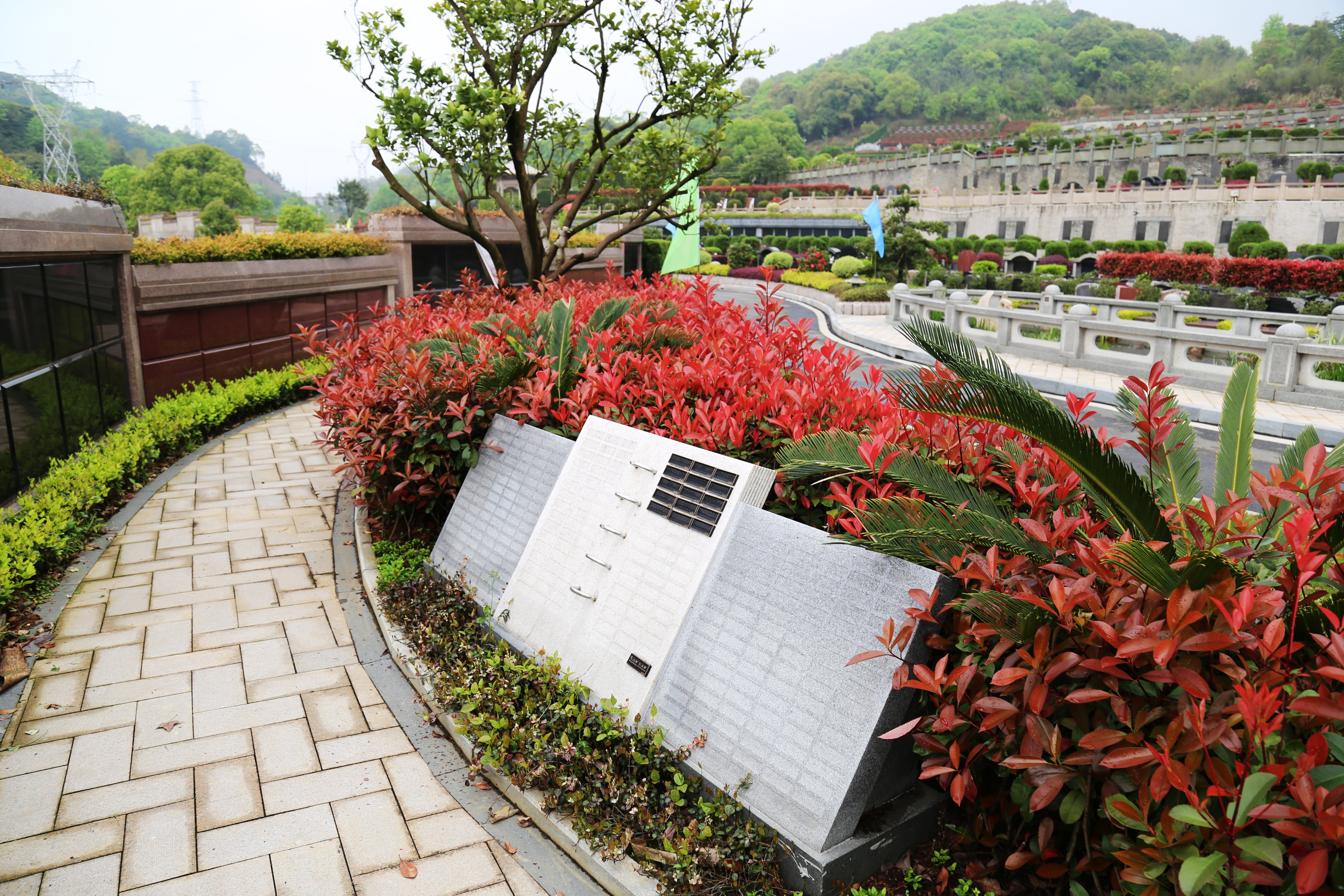 首页-人生就是博