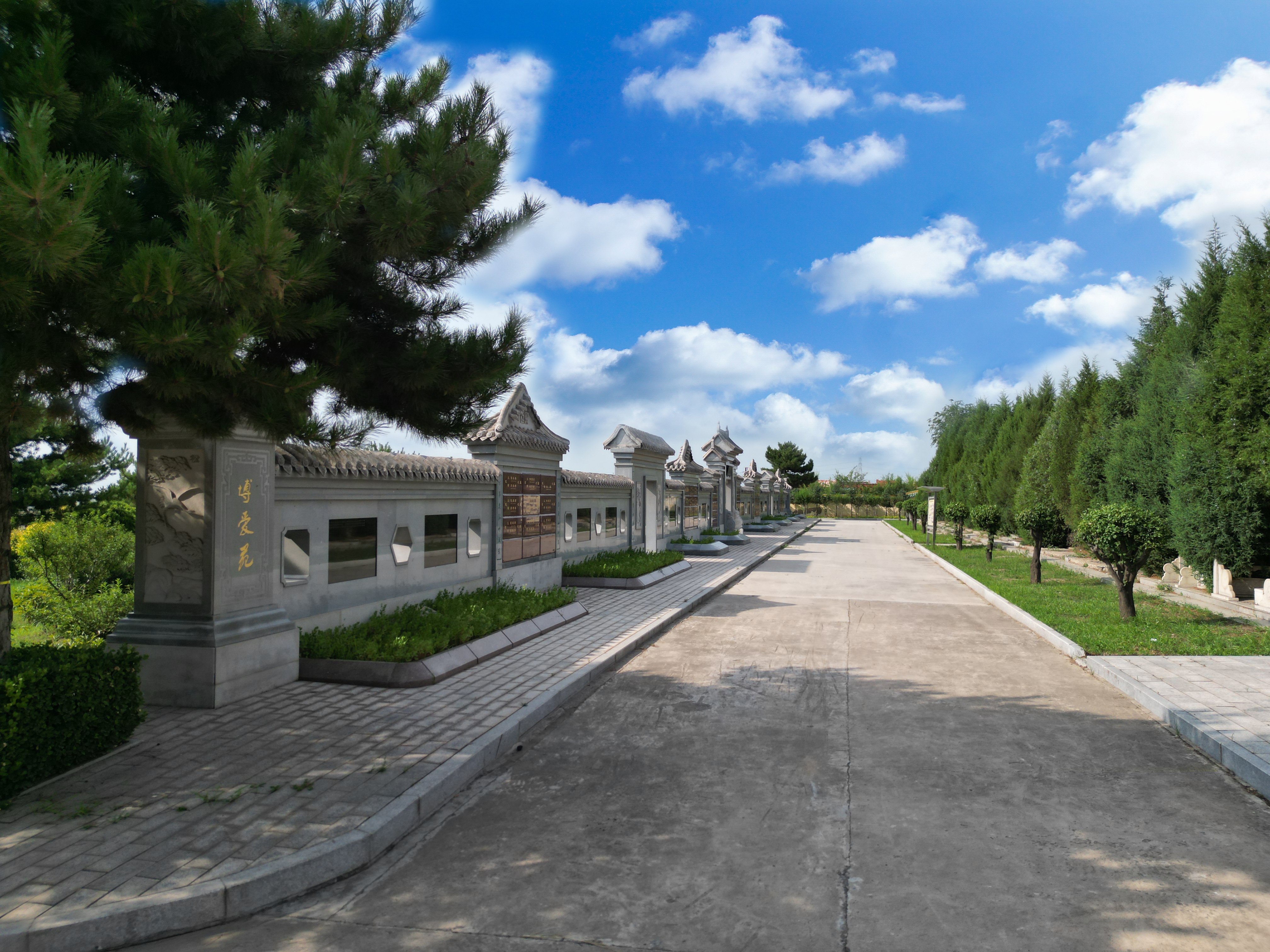 首页-人生就是博