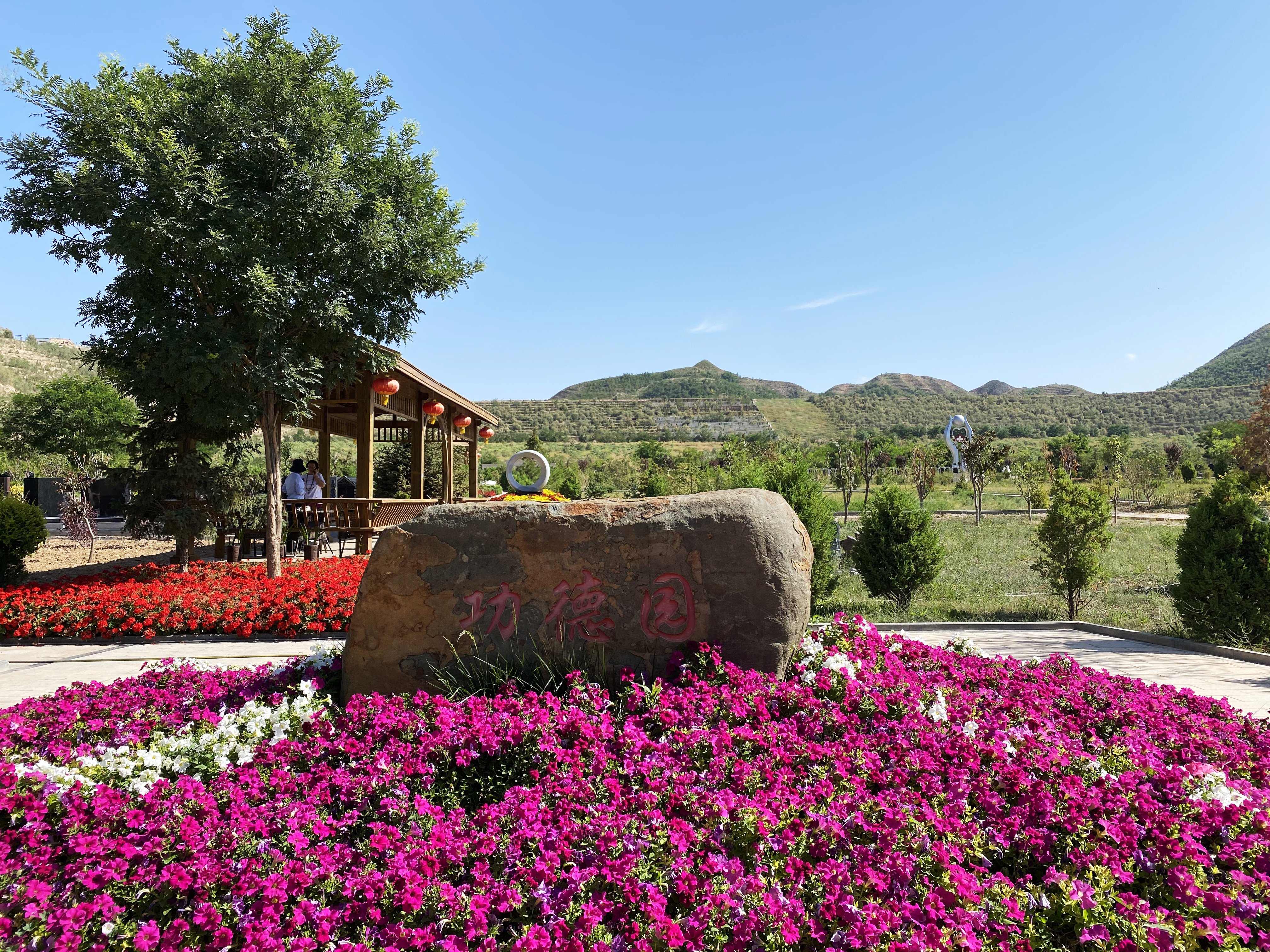 首页-人生就是博