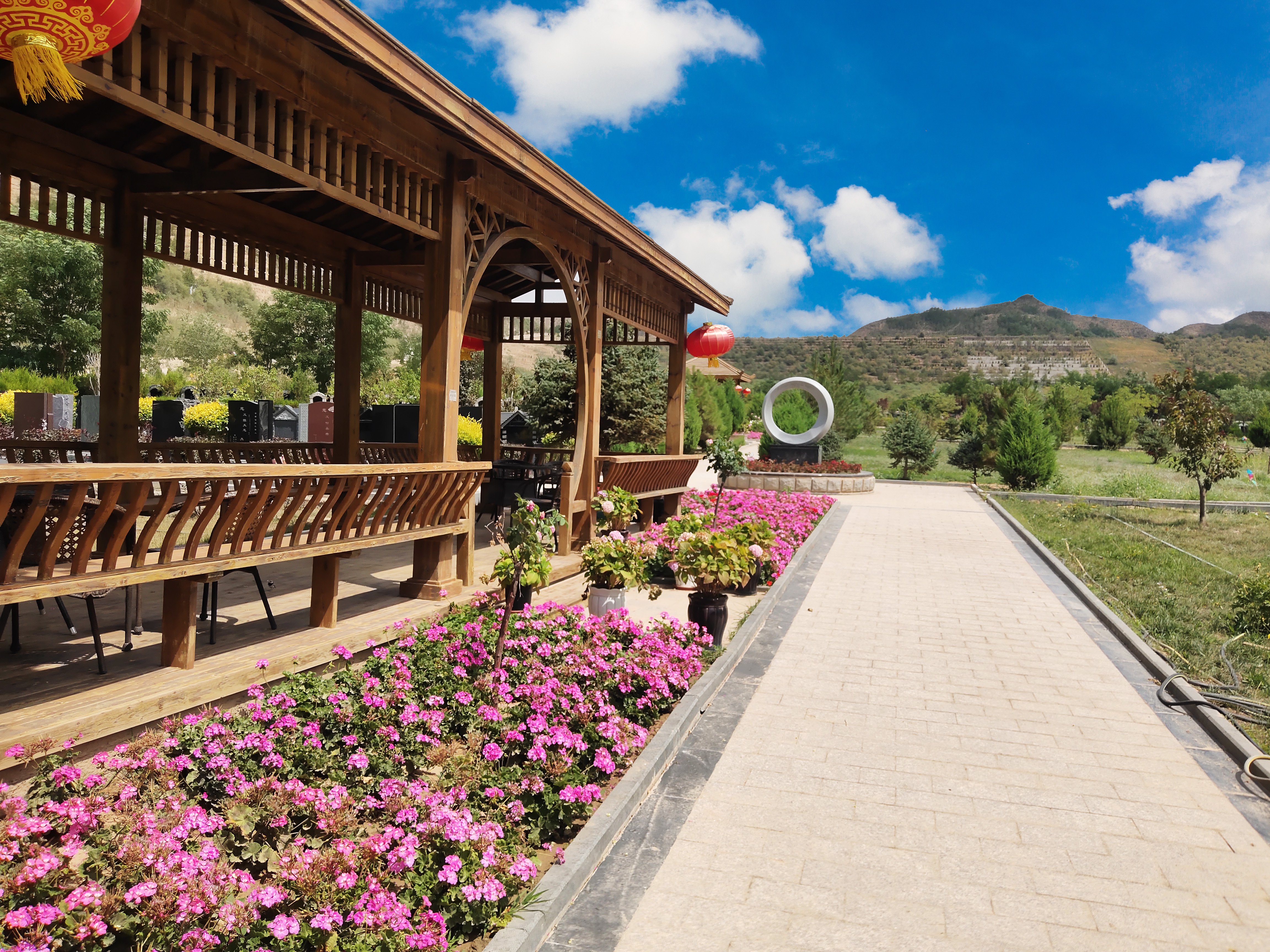 首页-人生就是博