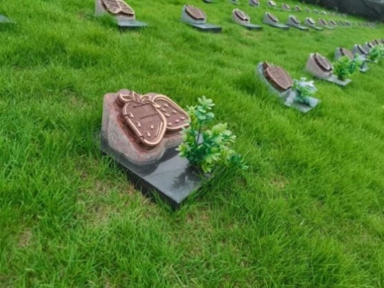 首页-人生就是博