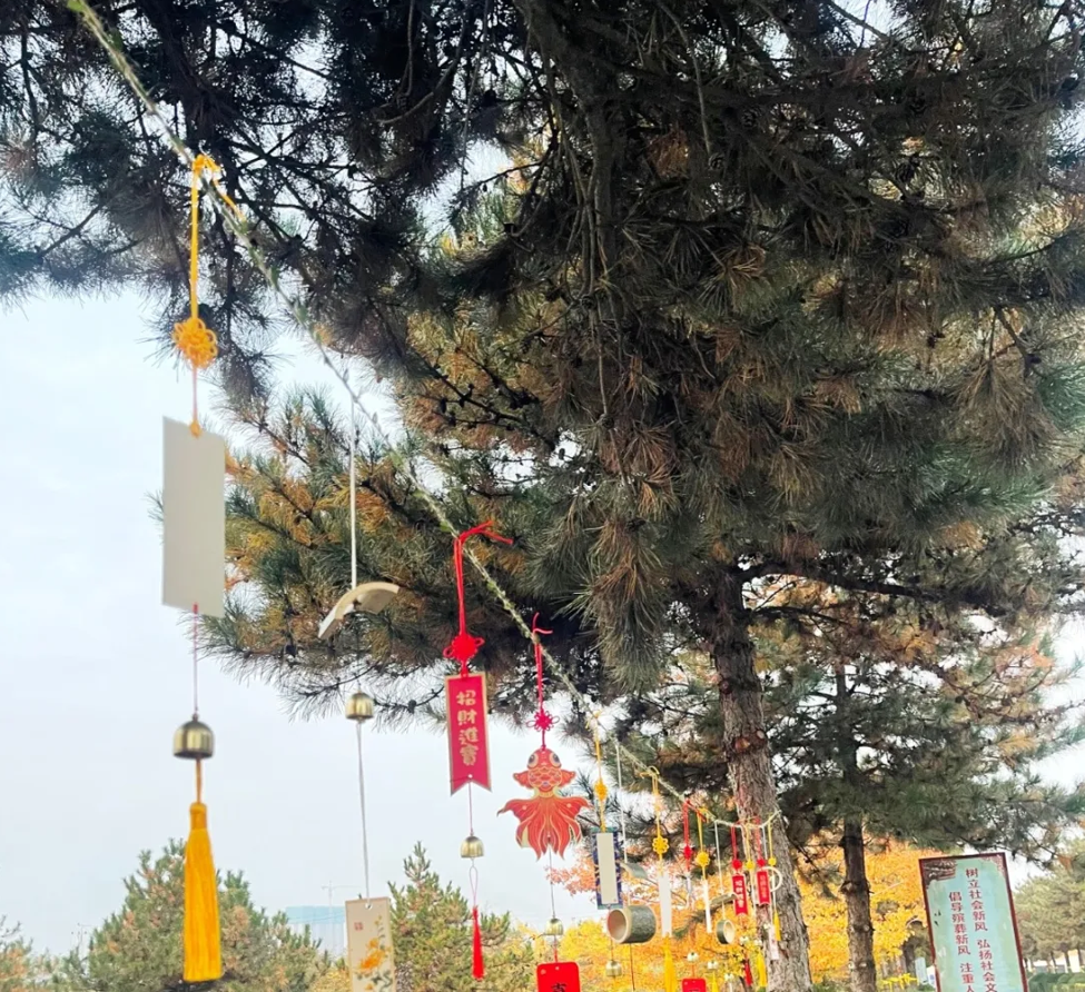 首页-人生就是博