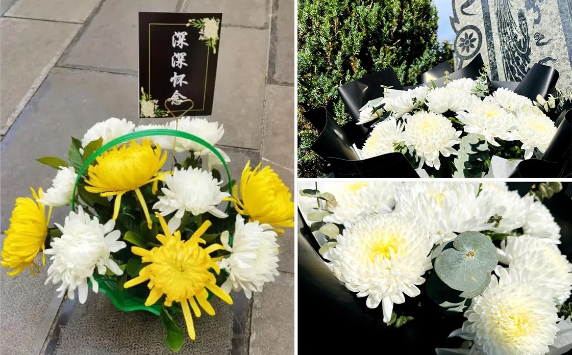 首页-人生就是博