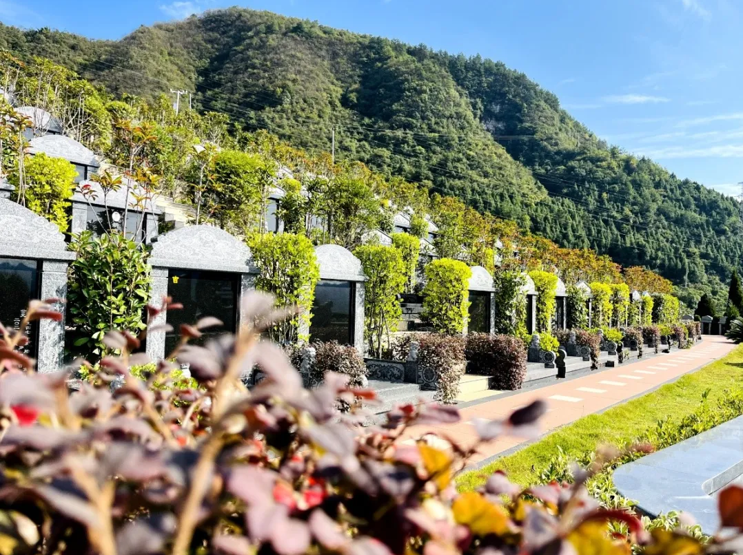 首页-人生就是博