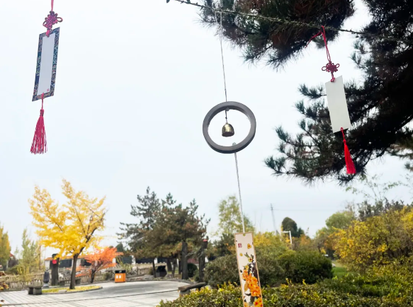 首页-人生就是博